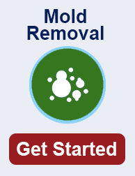 mold remediation in Mobile TN